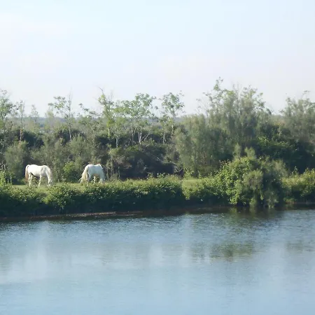 Veronica Strandvilla Bagni (Emilia-Romagna)